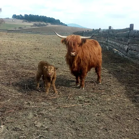 Turistika Ubytovňa Sivá Brada