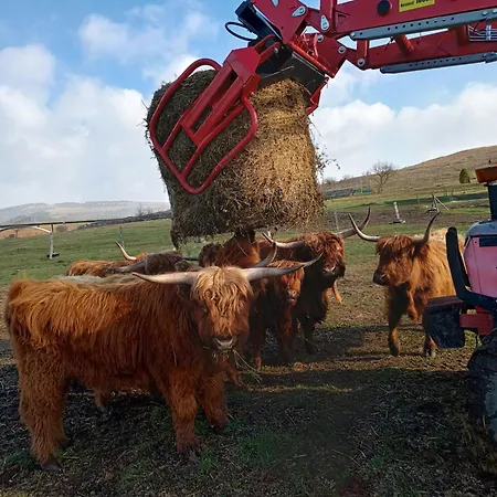 Penzion Turistika Siva Brada