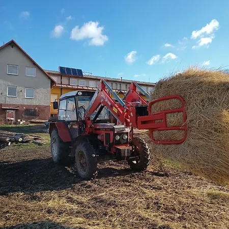 Turistika Siva Brada