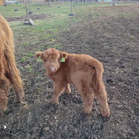 Penzion Turistika Siva Brada