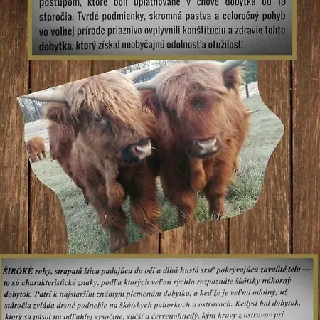 Penzion Turistika Siva Brada Spišské Podhradie