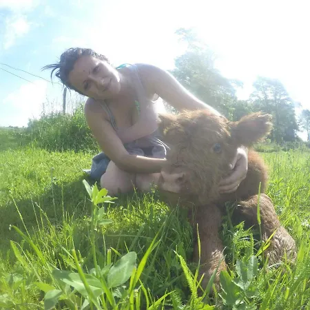 Turistika Ubytovňa Sivá Brada Pensión *