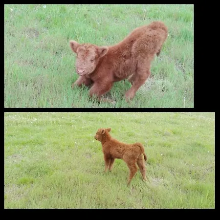 Pensión Turistika Ubytovňa Sivá Brada Spišské Podhradie