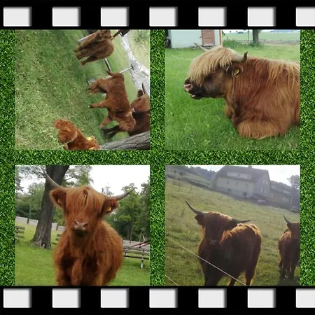 Turistika Siva Brada *