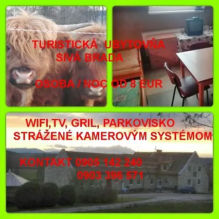 Turistika Siva Brada 招待所